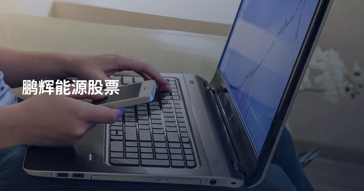 鹏辉能源股票