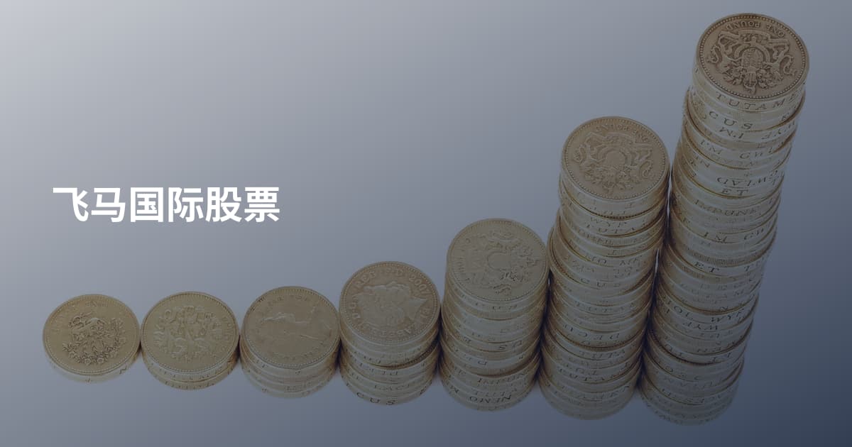 飞马国际股票