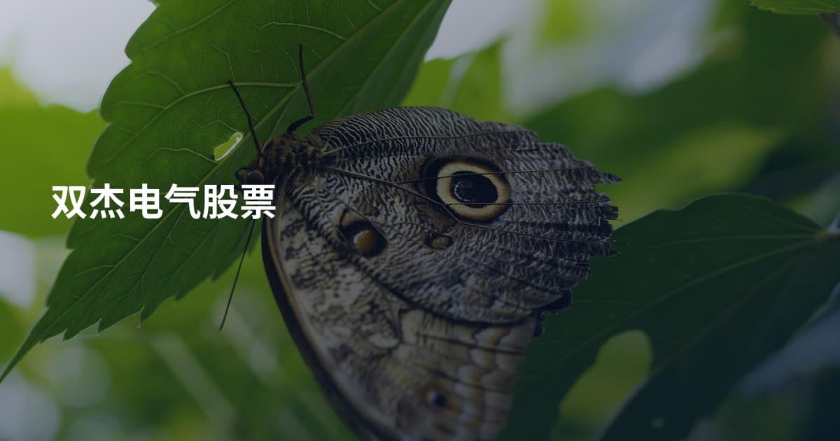 双杰电气股票