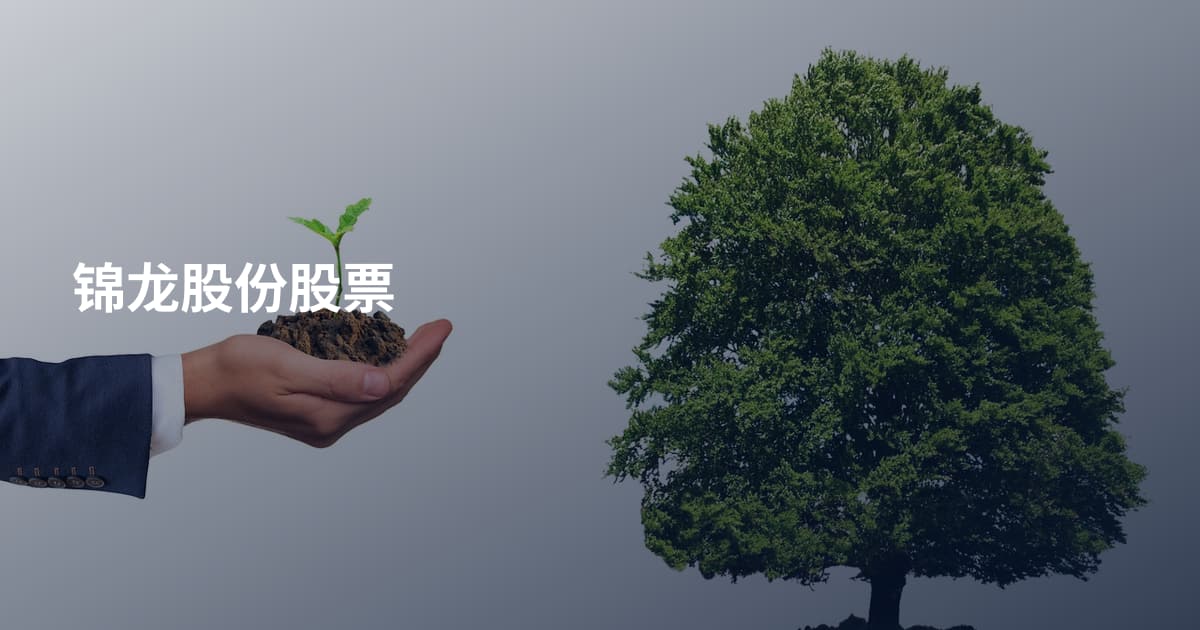 锦龙股份股票