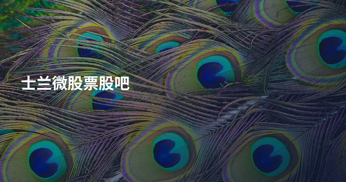 士兰微股票股吧