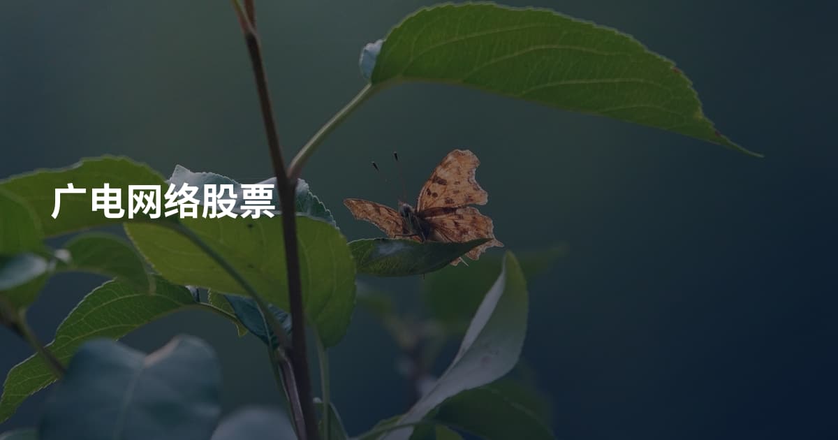 广电网络股票