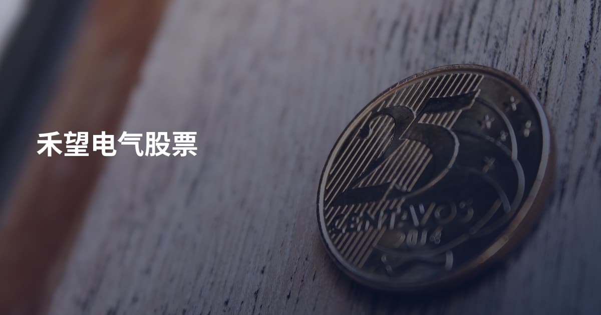 禾望电气股票