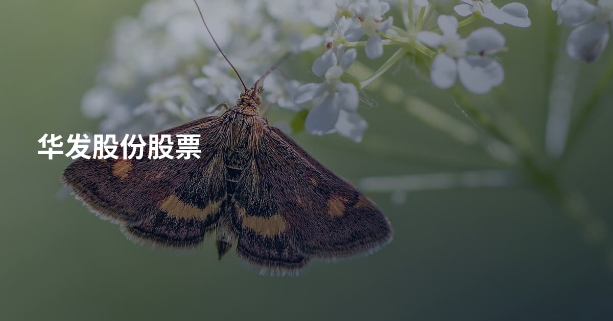 华发股份股票