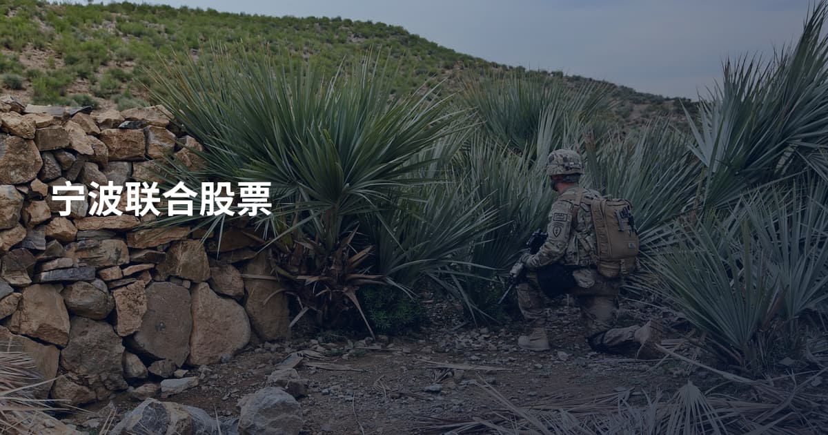 宁波联合股票