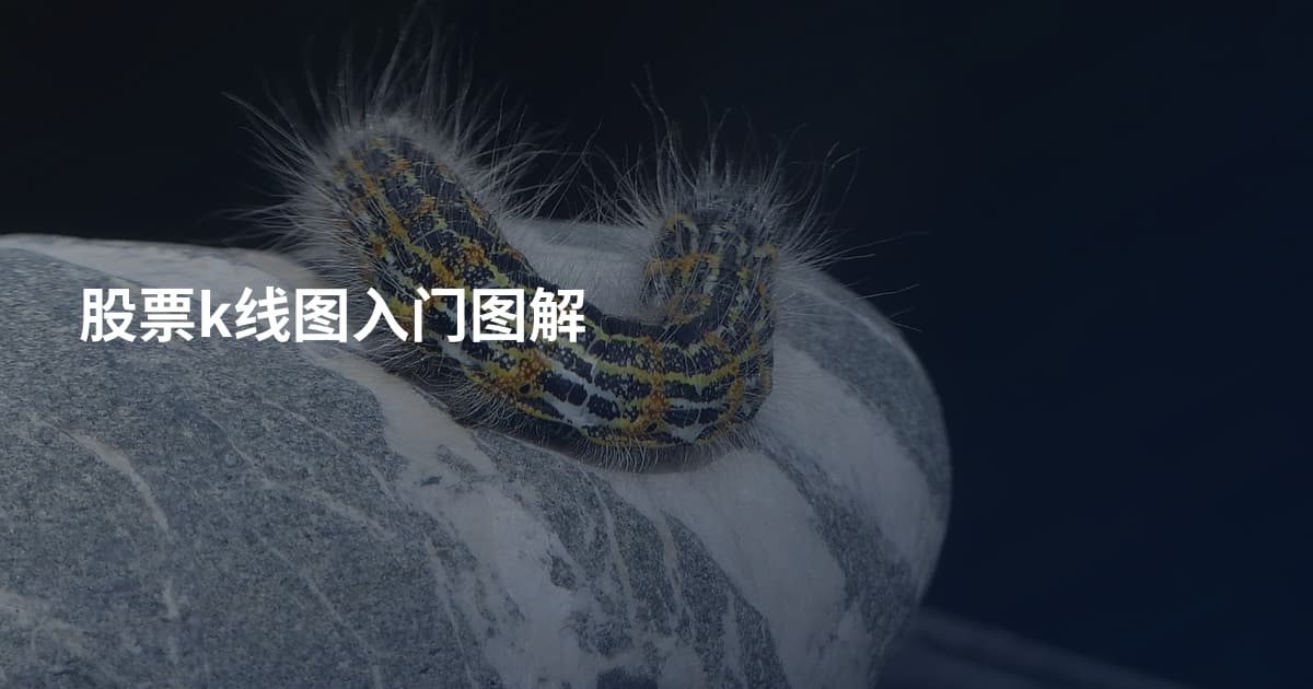 股票k线图入门图解