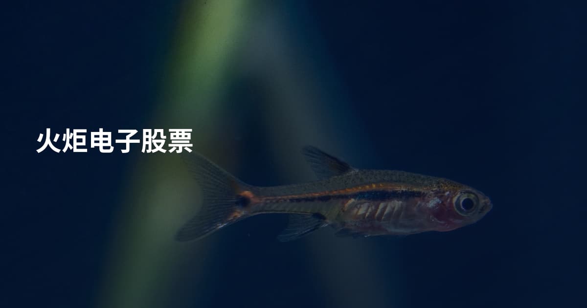 火炬电子股票