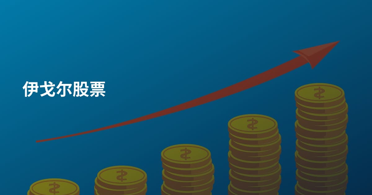 伊戈尔股票