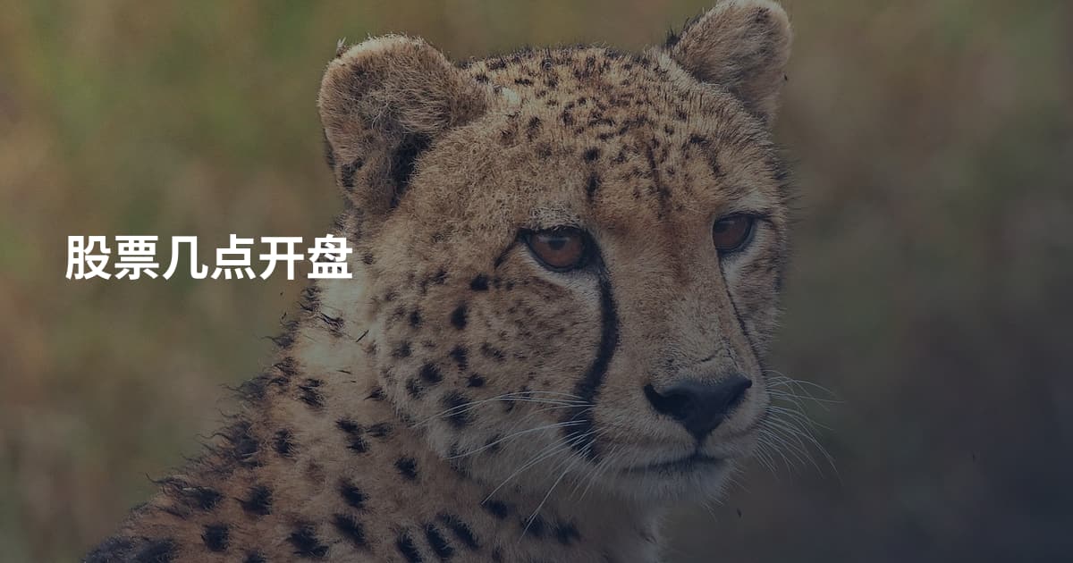 股票几点开盘