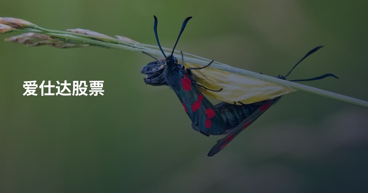 爱仕达股票