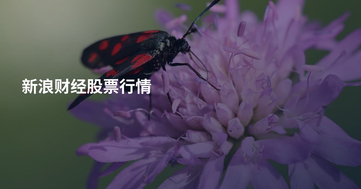新浪财经股票行情