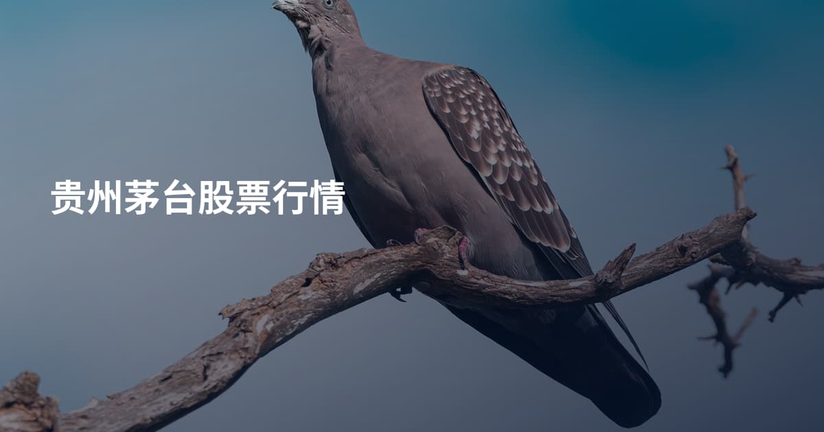 贵州茅台股票行情
