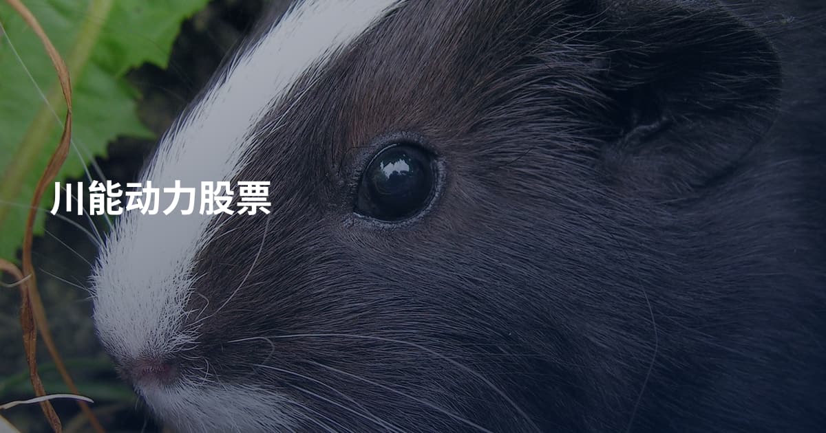 川能动力股票
