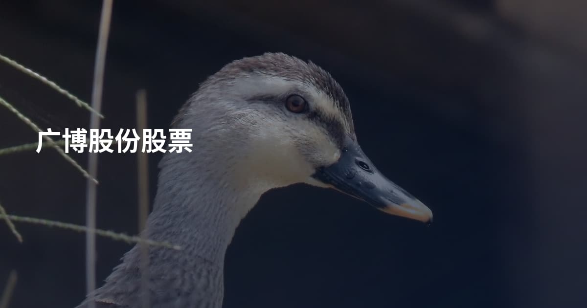 广博股份股票