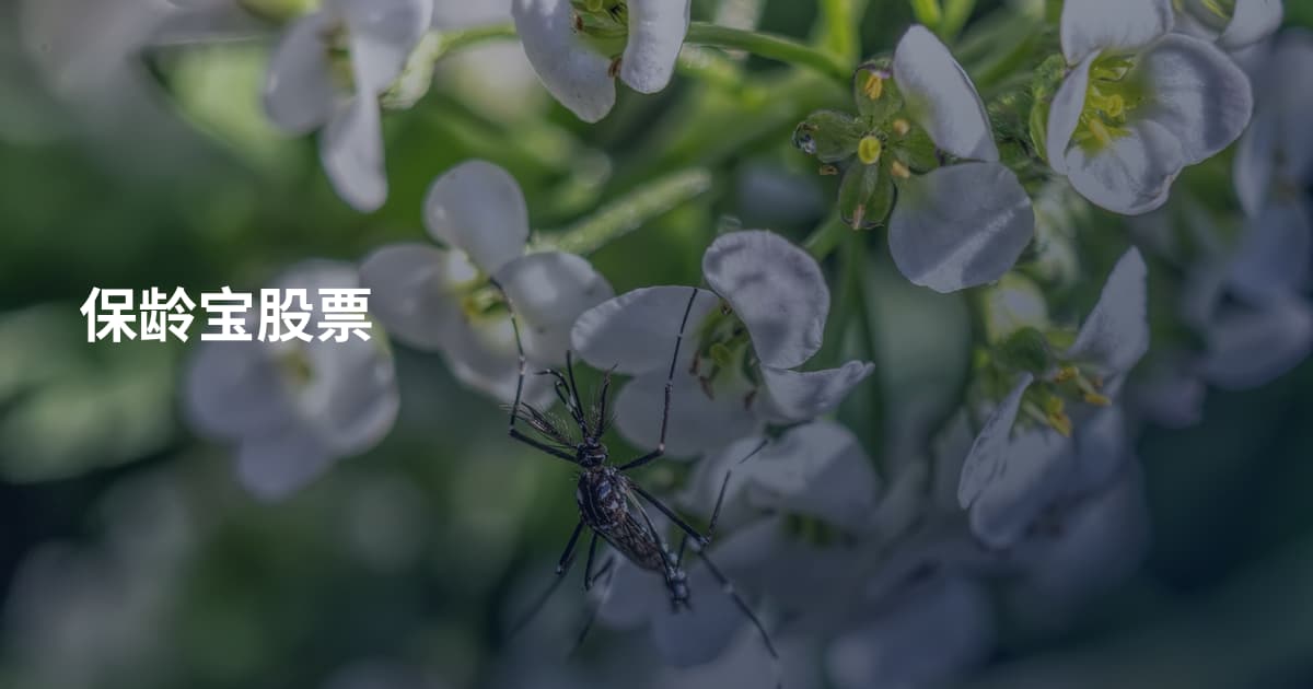 保龄宝股票