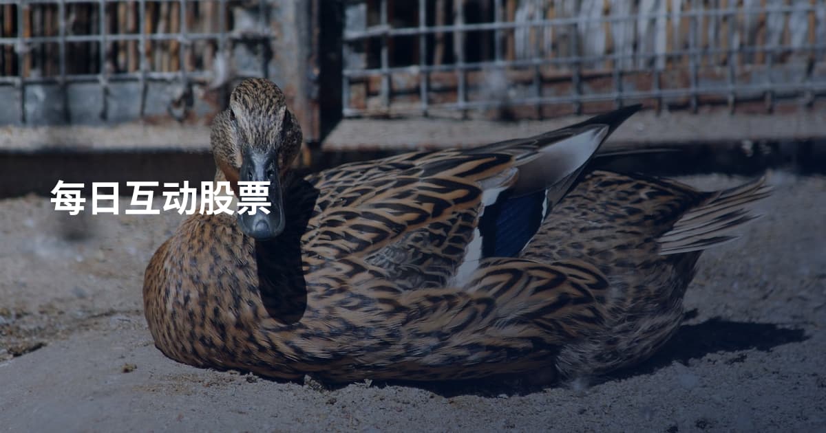 每日互动股票