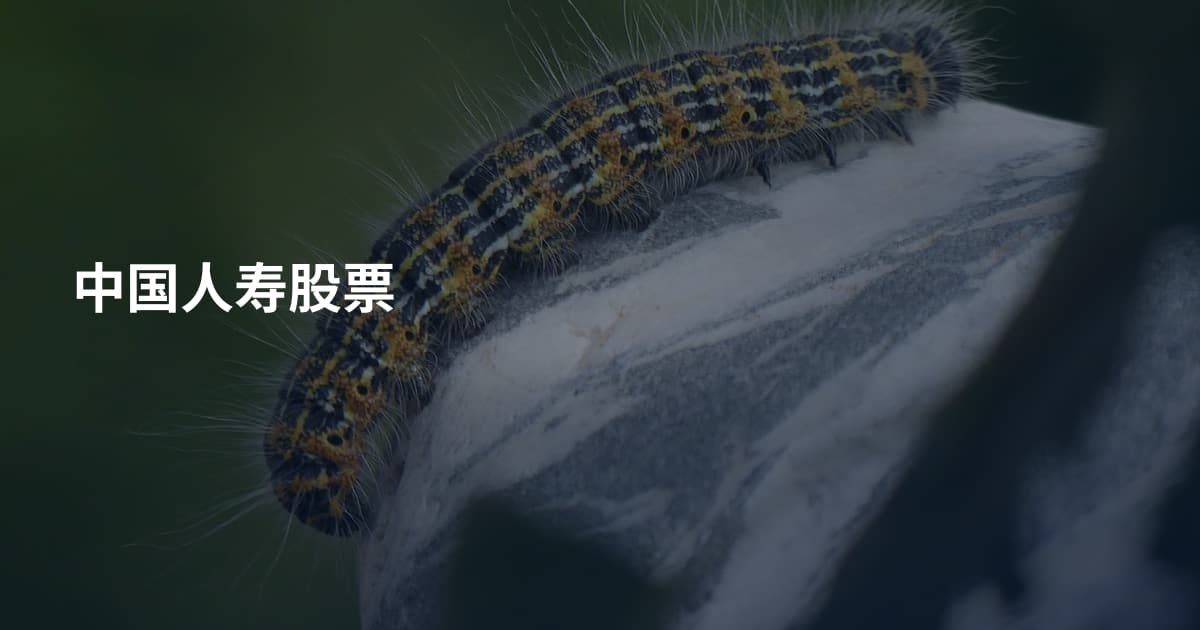中国人寿股票