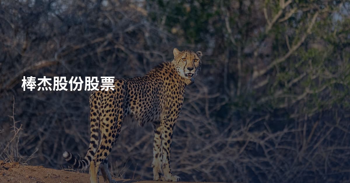 棒杰股份股票