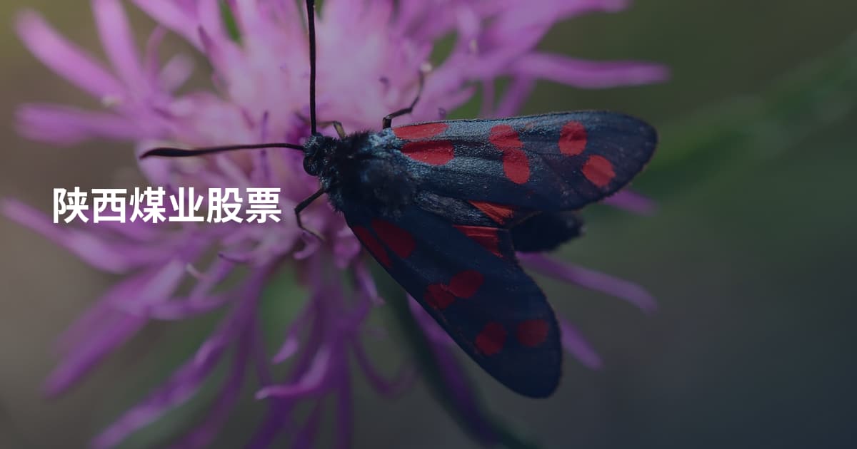 陕西煤业股票