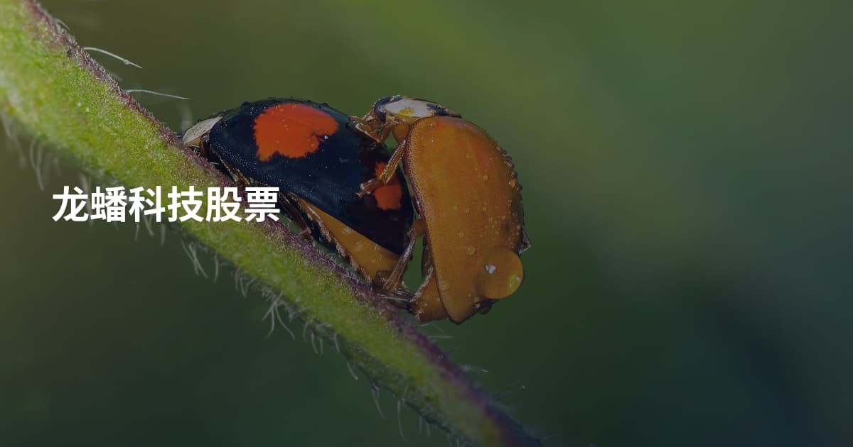 龙蟠科技股票