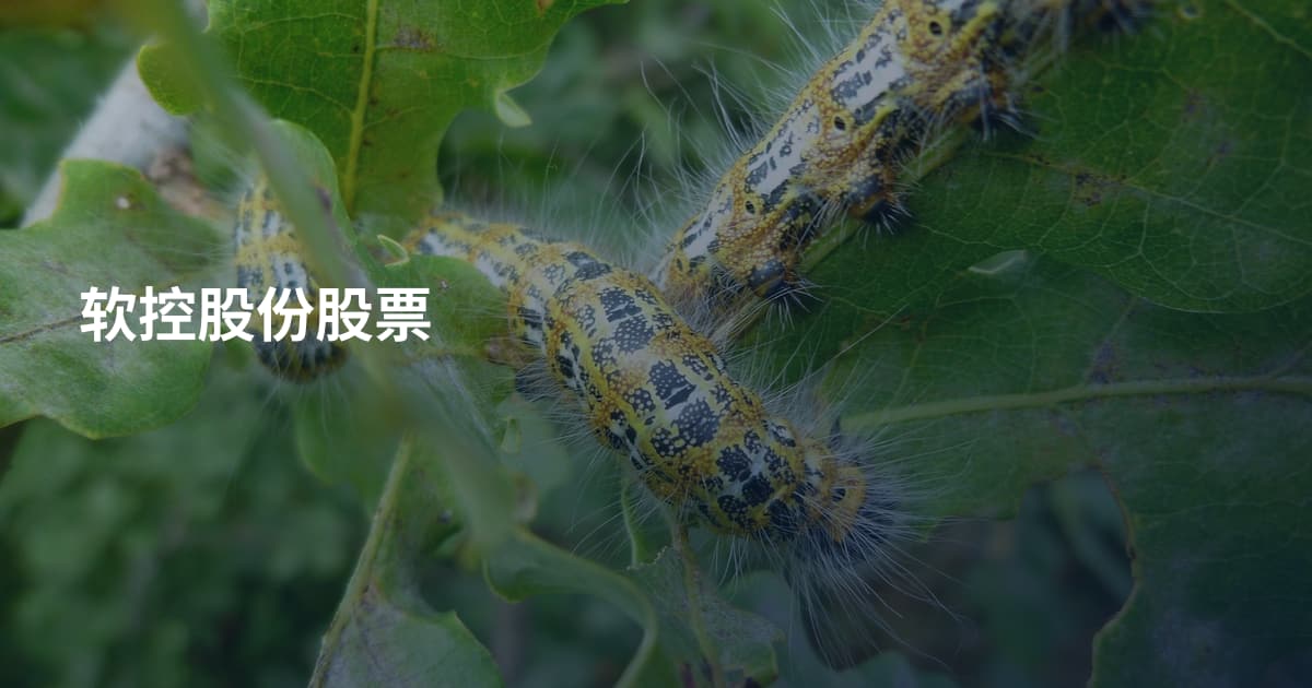 软控股份股票