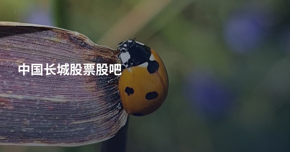 中国长城股票股吧