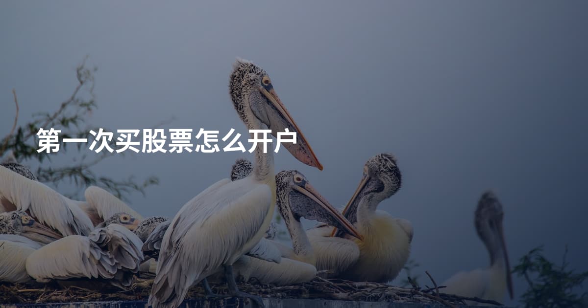 第一次买股票怎么开户