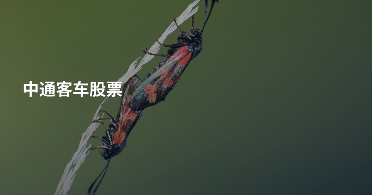 中通客车股票