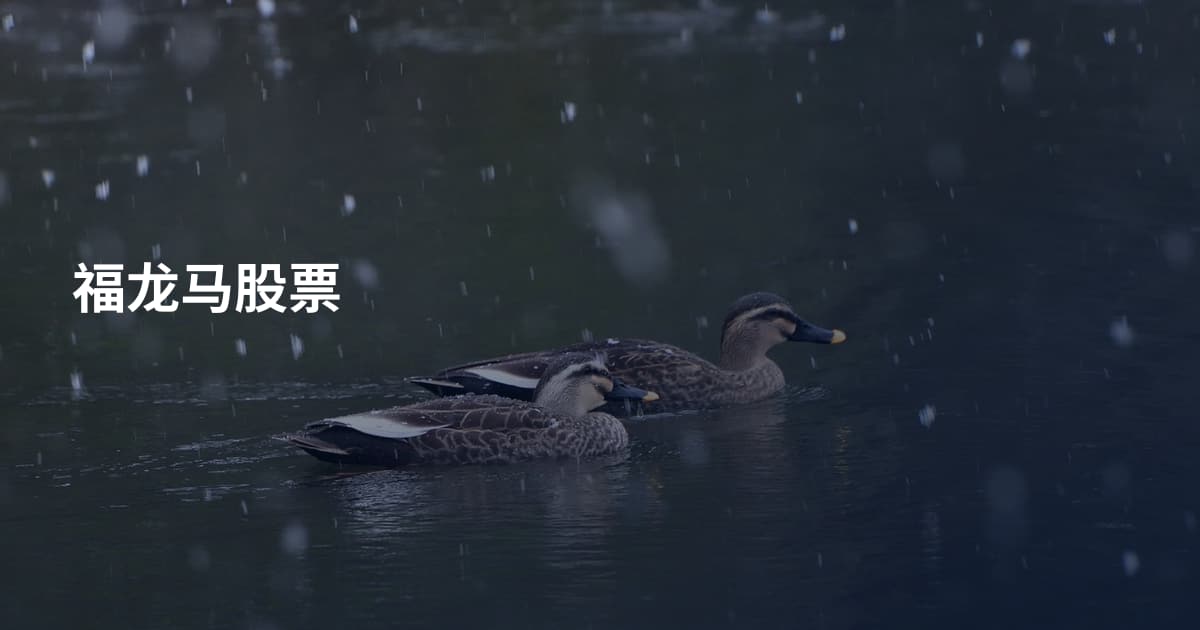 福龙马股票