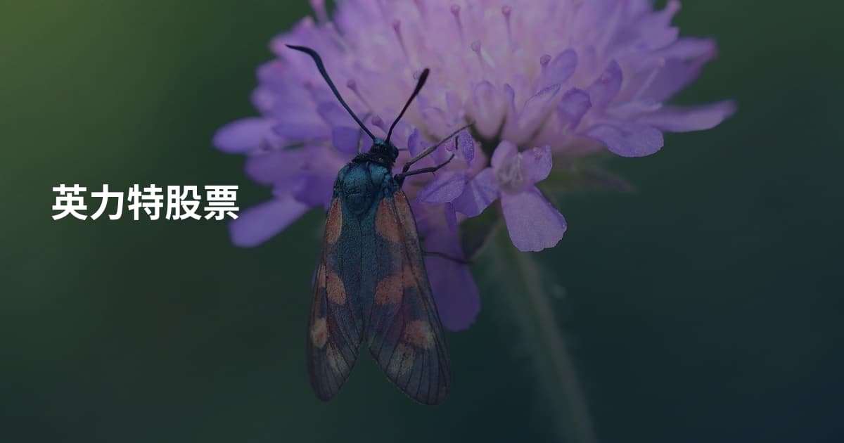 英力特股票