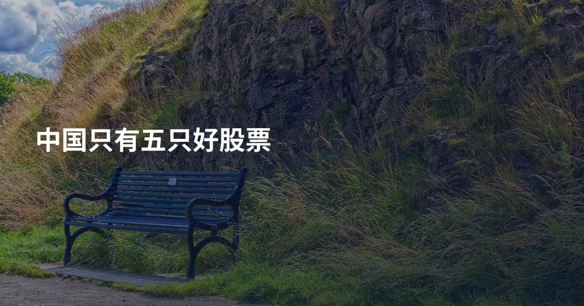 中国只有五只好股票