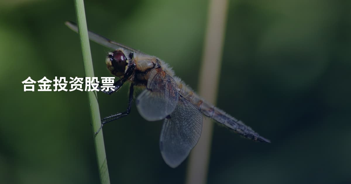 合金投资股票