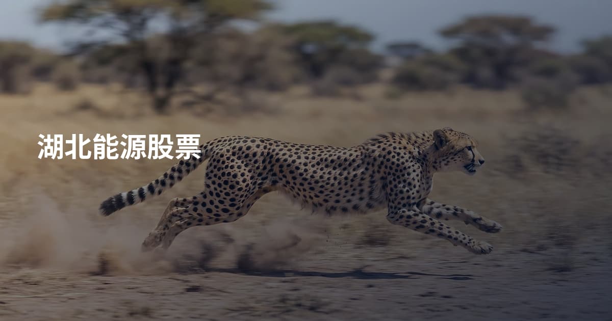 湖北能源股票