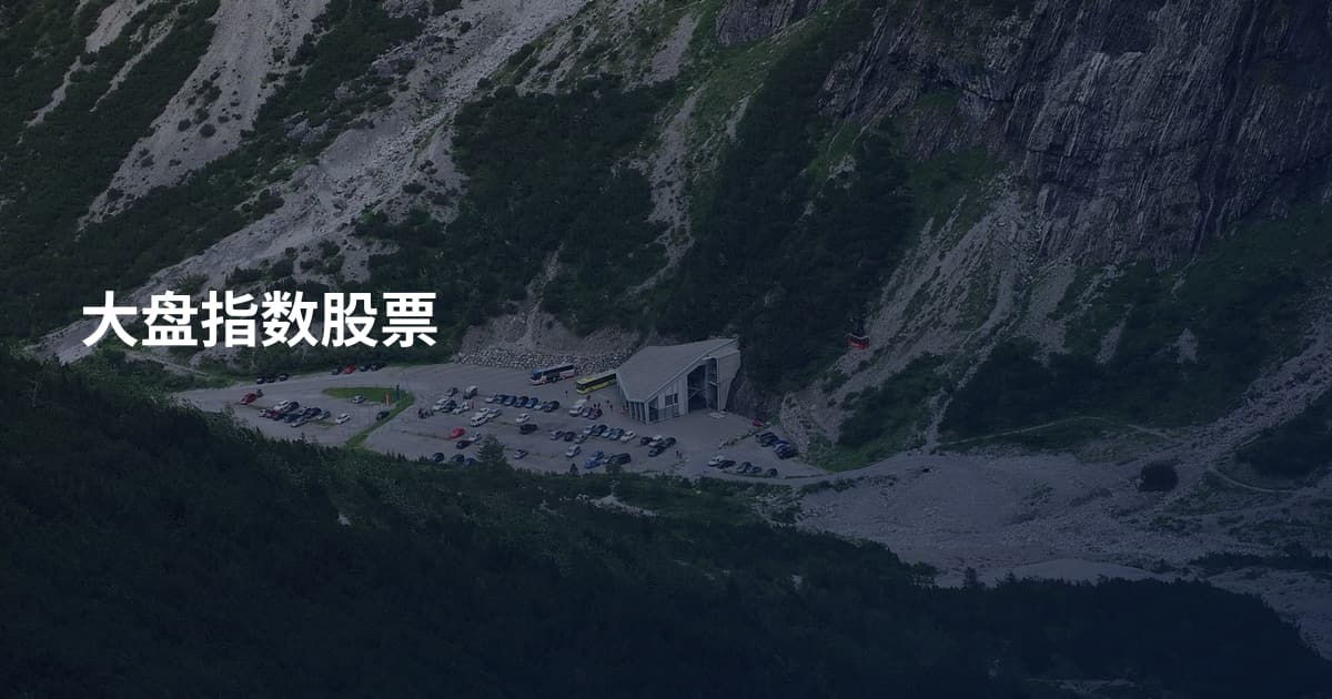 大盘指数股票