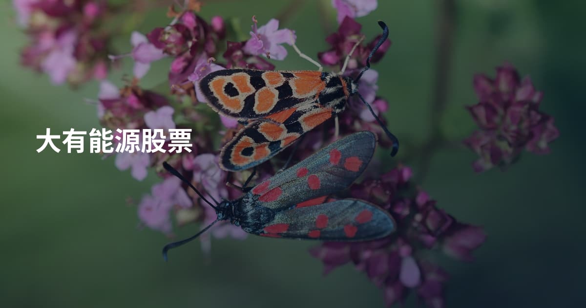 大有能源股票