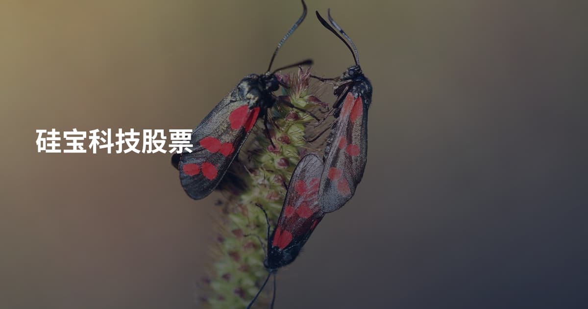 硅宝科技股票