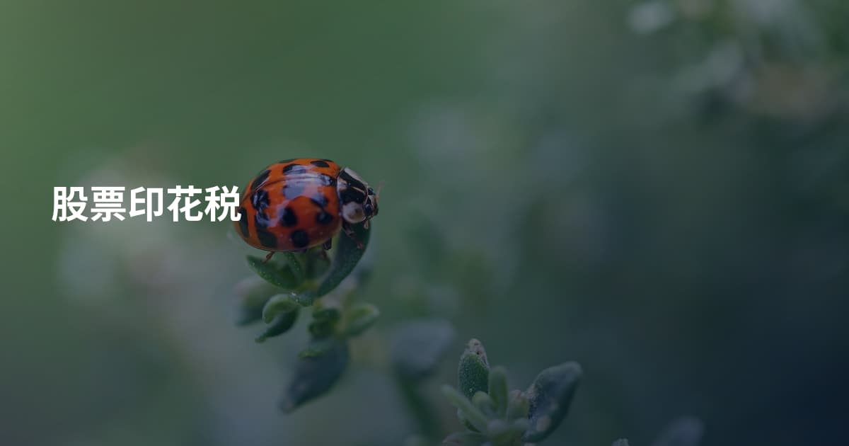 股票印花税