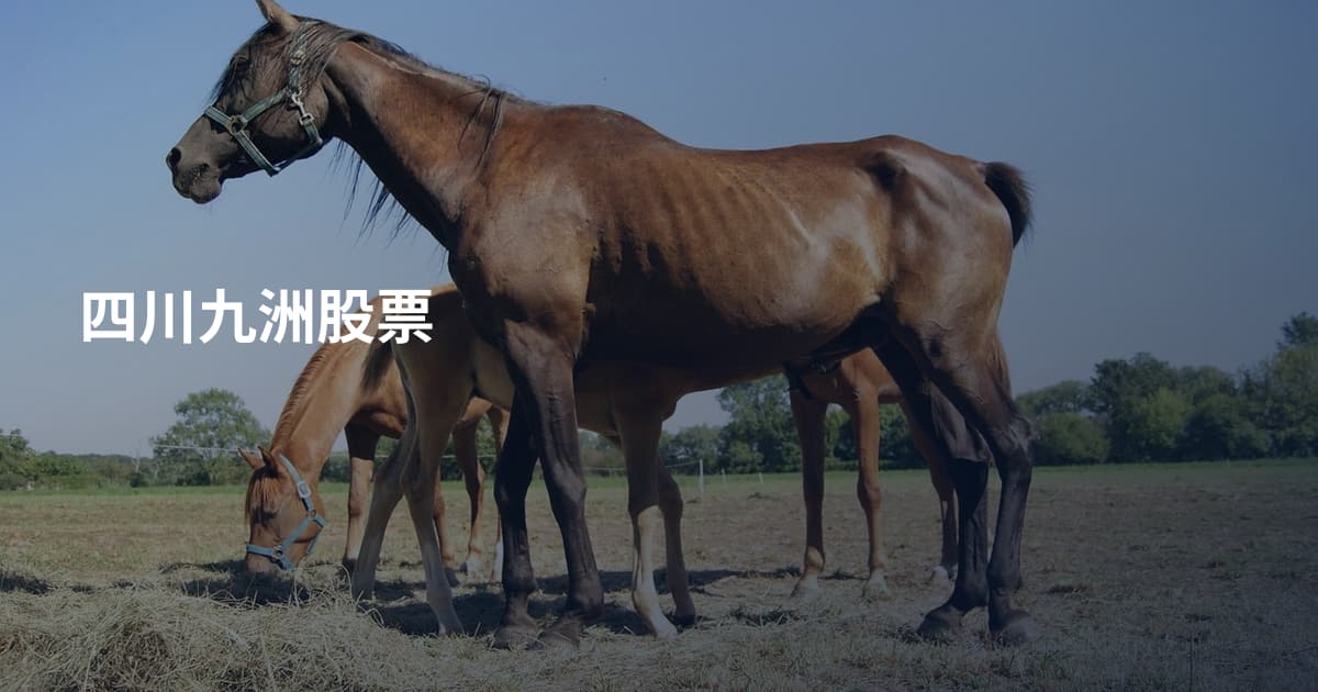 四川九洲股票