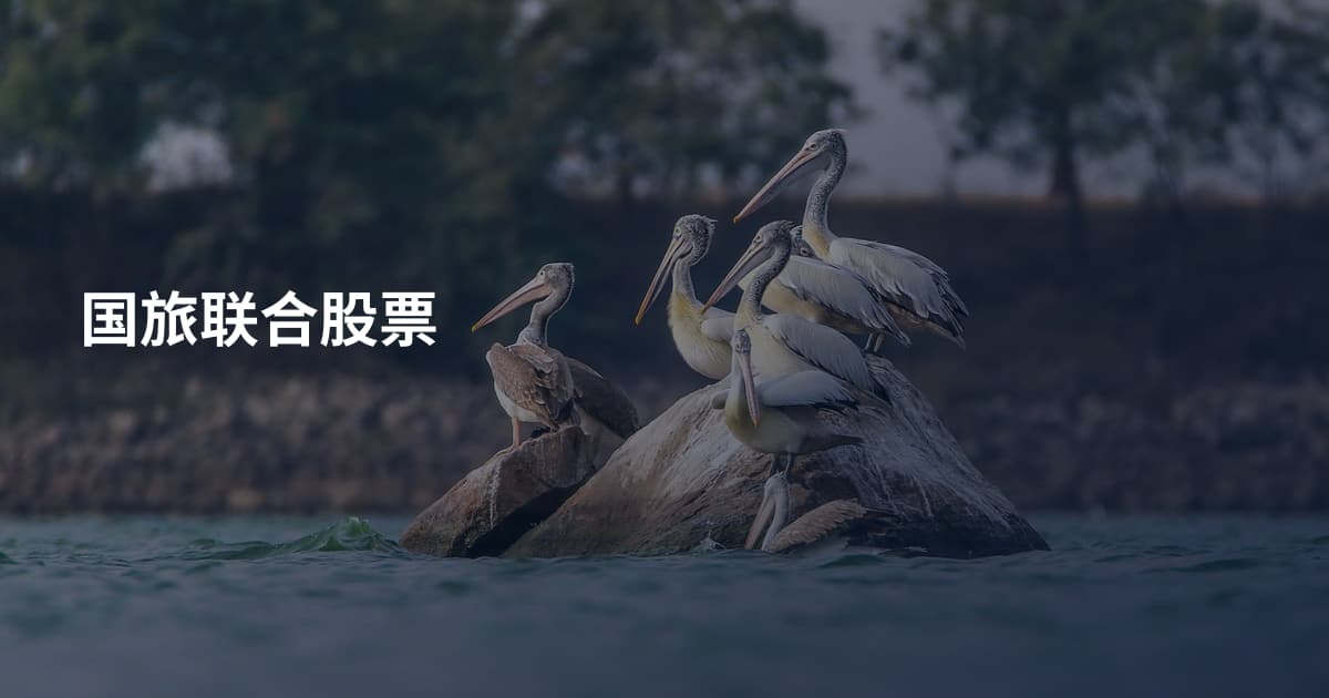 国旅联合股票