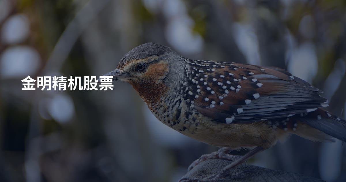 金明精机股票