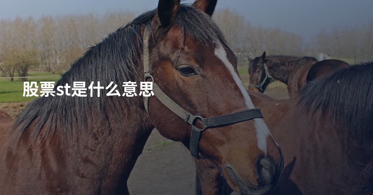 股票st是什么意思