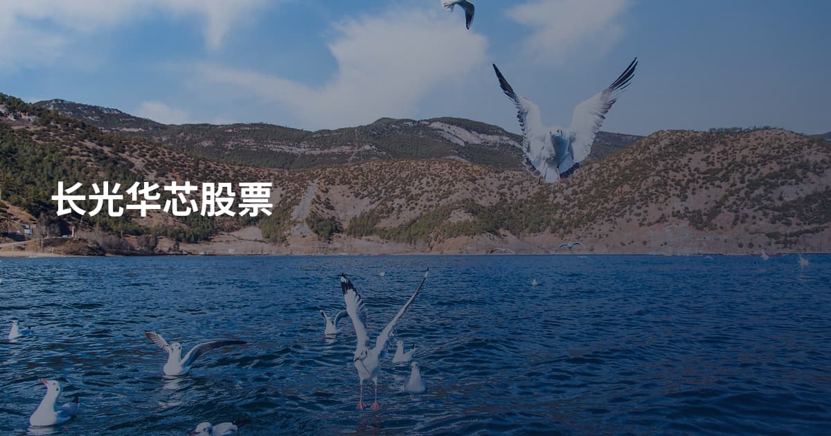 长光华芯股票