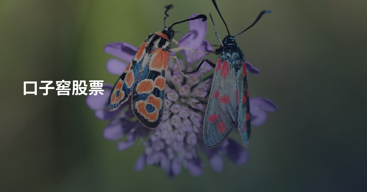 口子窖股票