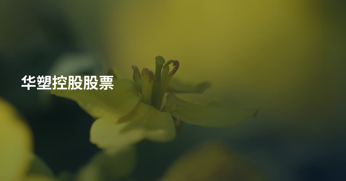 华塑控股股票