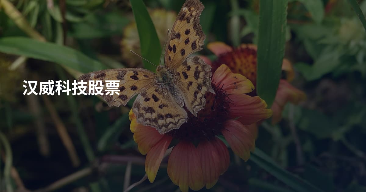 汉威科技股票