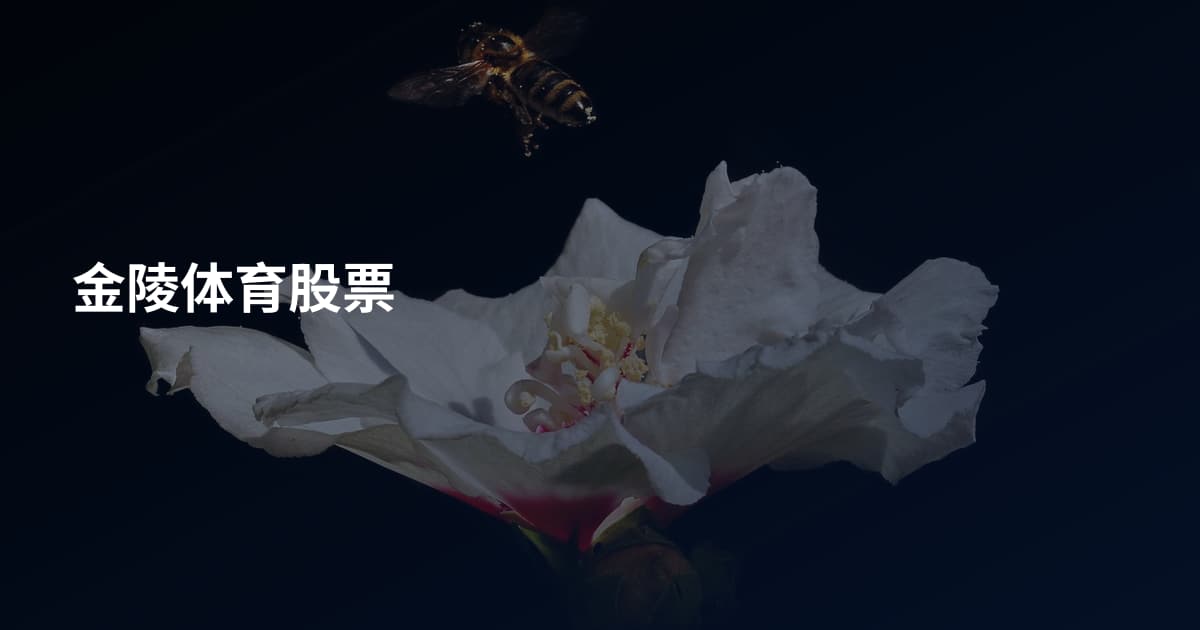 金陵体育股票