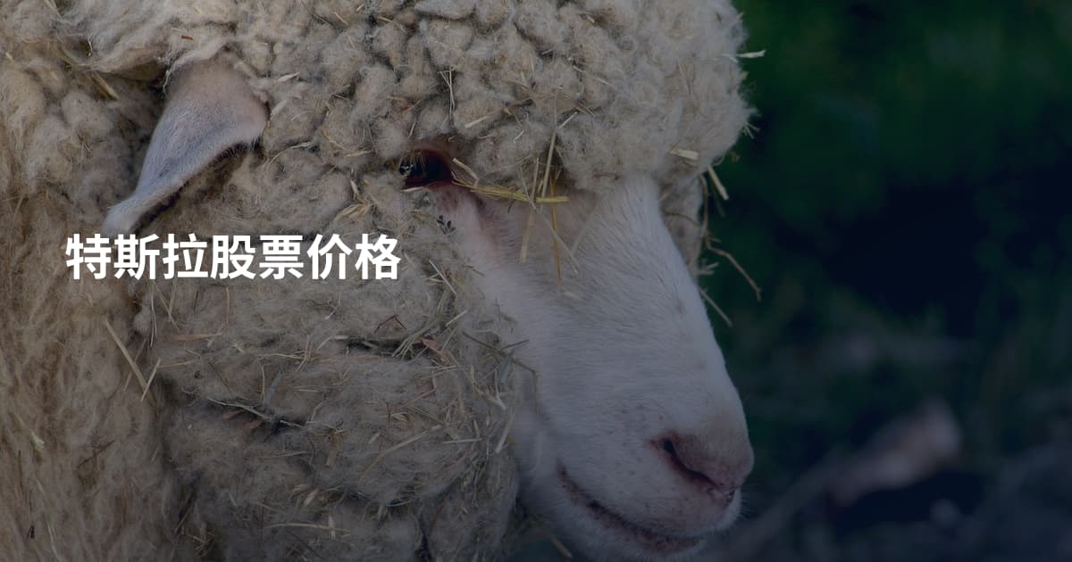 特斯拉股票价格