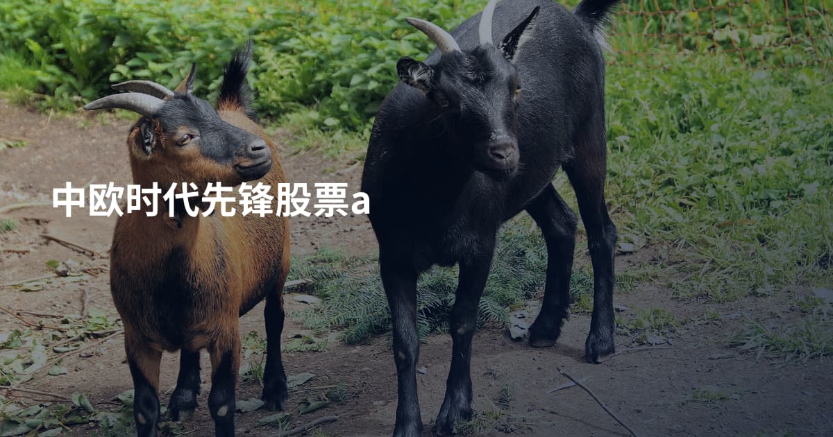 中欧时代先锋股票a