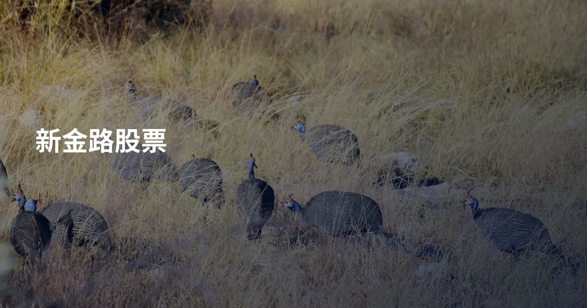 新金路股票