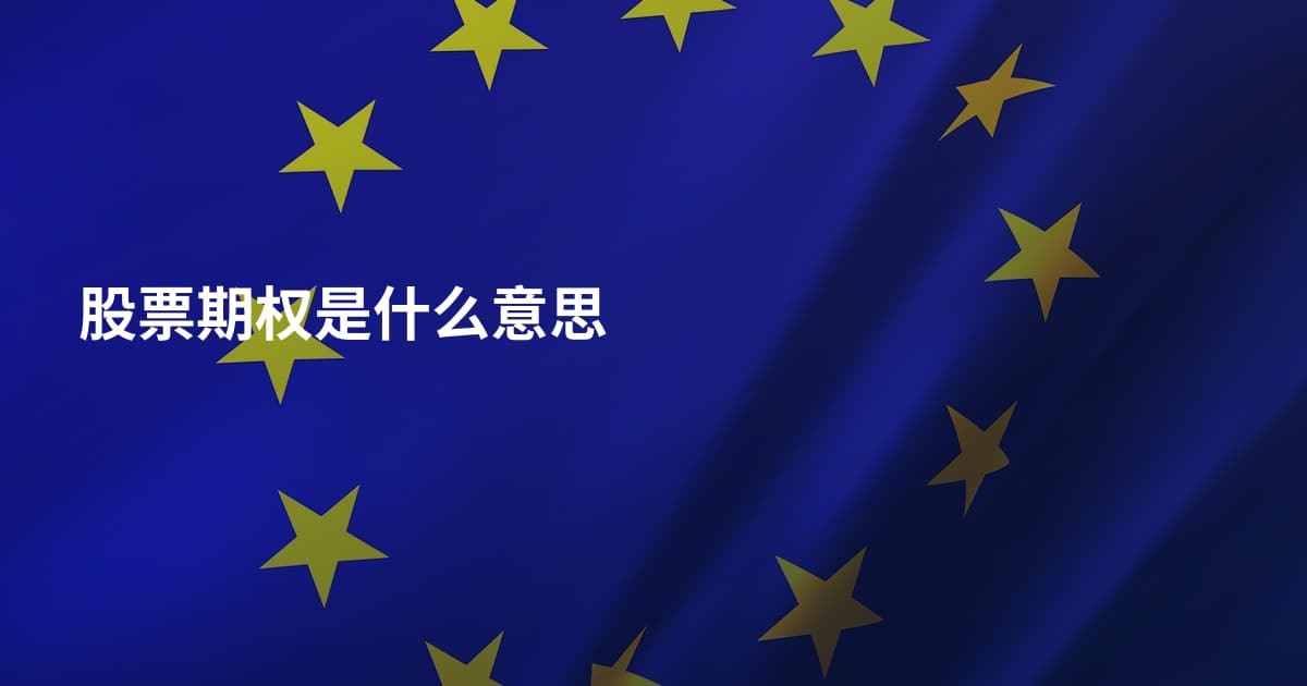 股票期权是什么意思